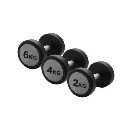 Picture of OK PRO FREE WEIGHT FITNESS WEIGHT PU DUMBBELL-4KG